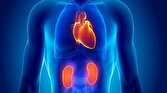 افزایش ریسک ابتلا به بیماری قلبی با آسیب‌های کلیوی
