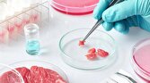 گوشت آزمایشگاهی تا ۲۵ برابر بیشتر کربن تولید می‌کند