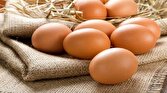 فناوری ویرایش ژنوم و حذف پروتئین‌های حساسیت‌زا از تخم مرغ